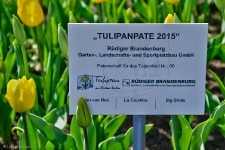 Britzer Garten 2015 Tulipan © Lutz Griesbach_95