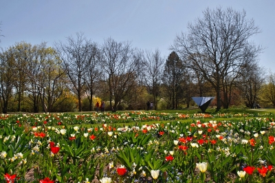Britzer Garten 2015 Frühjahr © Lutz Griesbach_132