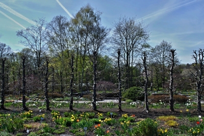 Britzer Garten 2015 Frühjahr © Lutz Griesbach_165